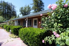 russian-river-hotel-the-woods-cottages-cabins-10