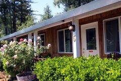 russian-river-hotel-the-woods-cottages-cabins-12